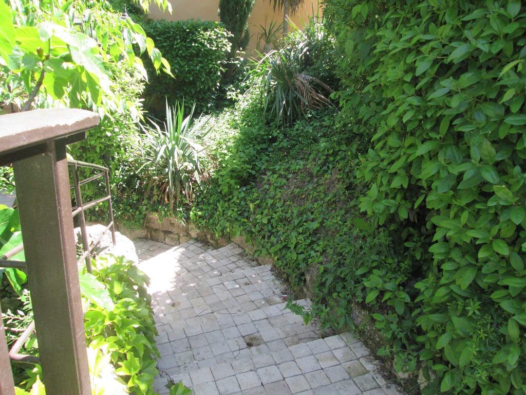 Les Chambres Du Moulin A Huile Vaison-la-Romaine Esterno foto